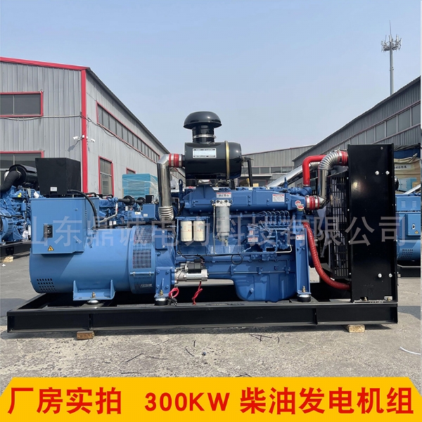 潍坊动力300KW