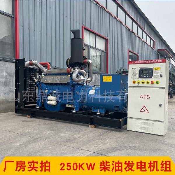 潍坊动力250KW