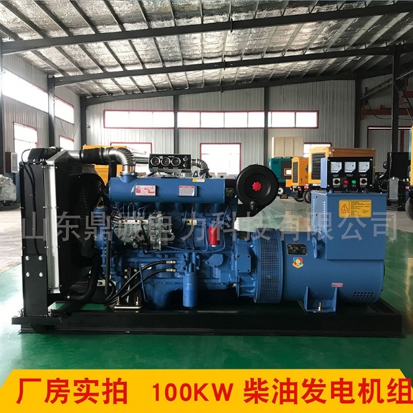 潍坊动力100KW