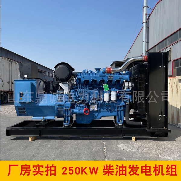 玉柴250KW