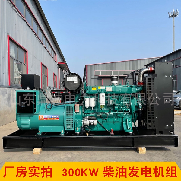 潍柴300KW